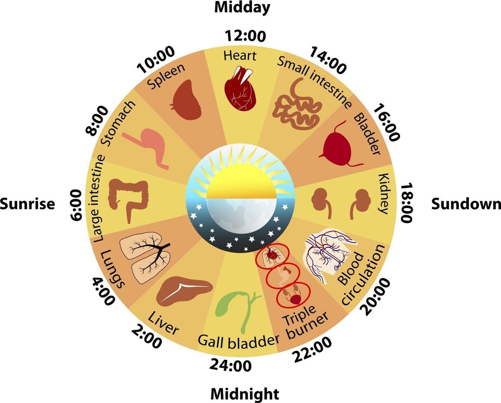 Why Are Your Circadian Rhythms So Important?
